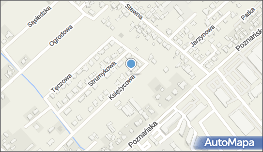 7791936373, Octopus Robert Praiss 