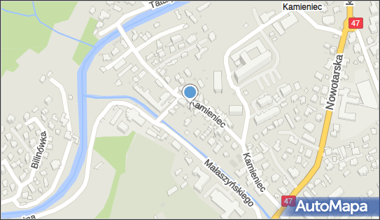 It Sport i Turystyka Piotr Hoły, Kamieniec 19a, Zakopane 34-500 - Przedsiębiorstwo, Firma, NIP: 7361006849