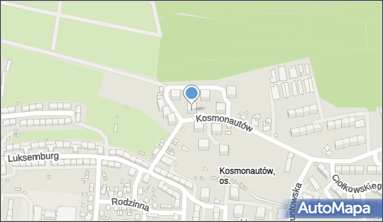 9691569344, Itp Łukasz Petelicki 