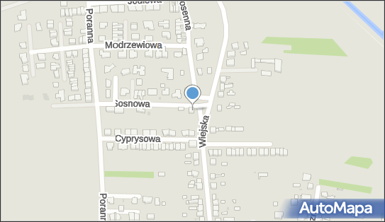 6431743855, ITwing Rafał Bury 