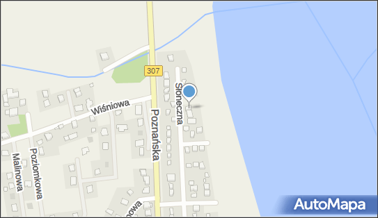 Ivr Consulting, Słoneczna 104, Niepruszewo 64-320 - Przedsiębiorstwo, Firma