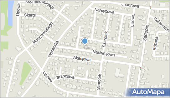 Iwa Zakładanie i Konserwacja Zieleni Jarosław Lachman Robert Nowakowski 96-100 - Przedsiębiorstwo, Firma, numer telefonu, NIP: 8361012655
