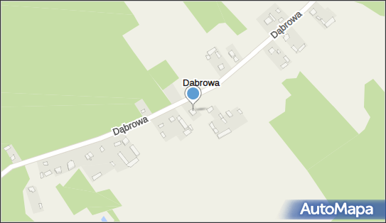 Iwona Fedorczyk, Dąbrowa 43A, Dąbrowa 07-130 - Przedsiębiorstwo, Firma, NIP: 8241330111