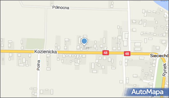 Iwona Niedzielska - Działalność Gospodarcza, ul. Kozienicka 26 26-920 - Przedsiębiorstwo, Firma, NIP: 8121419334