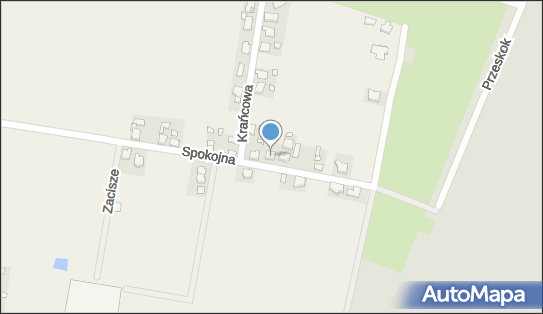 Izabela Balcer-Jończak, ul. Spokojna 23, Topola-Osiedle 63-421 - Przedsiębiorstwo, Firma, NIP: 6211262591