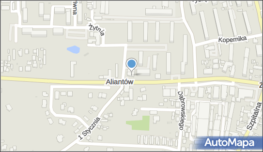 Izabela Latoch - Działalność Gospodarcza, ul. Aliantów 14A 88-400 - Przedsiębiorstwo, Firma, NIP: 5621147914