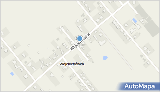 Izabela Nowacka Pośrednictwo i Usługi Nowa, Wojciechówka 21 62-800 - Przedsiębiorstwo, Firma, NIP: 9680064126