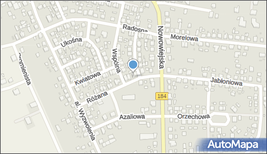Izabela Opat, Różana 8, Wronki 64-510 - Przedsiębiorstwo, Firma, NIP: 7631184562
