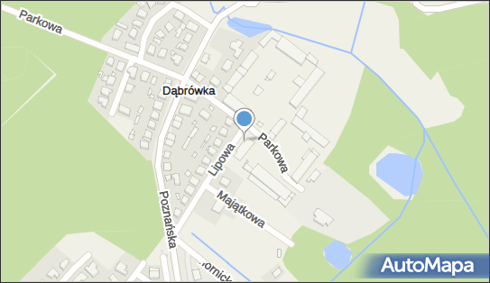 Izabela Tokarska Dea Konsulting, ul. Lipowa 1, Dąbrówka 62-069 - Przedsiębiorstwo, Firma, NIP: 5991766905