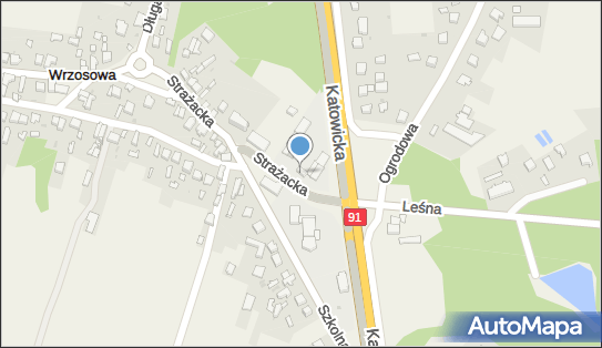 IzI, ul. Strażacka 33, Wrzosowa 42-263 - Przedsiębiorstwo, Firma, NIP: 9491429992