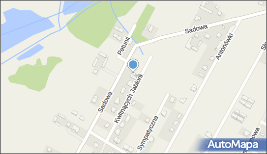 Jacek Doliński Transport, Kwitnących Jabłoni 11, Baszkówka 05-503 - Przedsiębiorstwo, Firma, NIP: 1180368824