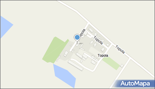Jacek Olszewski Olszewski, Topola 3, Topola 63-000 - Przedsiębiorstwo, Firma, NIP: 7861197812