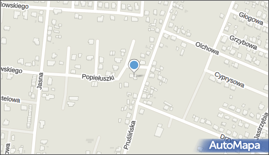 6221718868, Jacek Pałczyński 