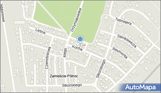 Jacek Tomczak, ul. Doktora Kocha 7, Rakoniewice 62-067 - Przedsiębiorstwo, Firma, NIP: 9950049801
