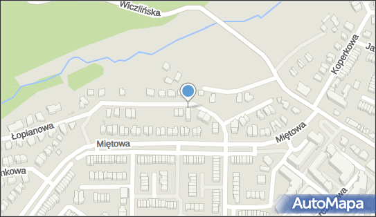 5861471488, Jacek Witt 1.Meridian Konsorcjum Doradcze 2.Meridian International 