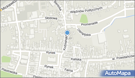 Jadwiga Lammel, Koźmińska 12, Krotoszyn 63-700 - Przedsiębiorstwo, Firma, NIP: 6211163311