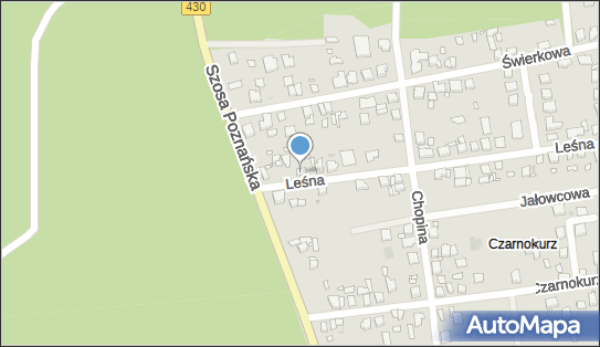 Jadwiga Palutka Salon Kosmetyczny Pracownia Urody, Leśna 31a 62-050 - Przedsiębiorstwo, Firma, NIP: 6972045737