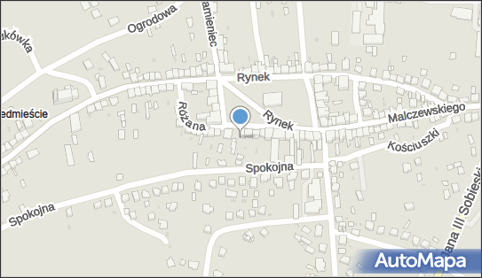 8691131038, Firma Handlowo-Usługowa 
