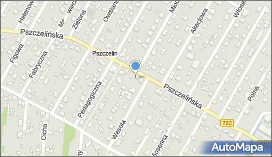 Jadwiga Wojtczak Pracownia Protetyczna, Pszczelińska 50A, Brwinów 05-840 - Przedsiębiorstwo, Firma, NIP: 5341167933