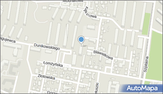 Jagodziński Remigiusz Henryk, ul. Xsawerego Dunikowskiego 9 85-863 - Przedsiębiorstwo, Firma, NIP: 9531660455