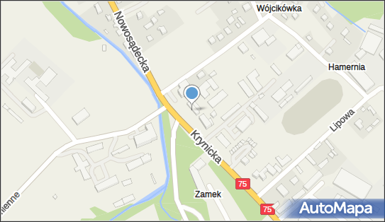 7343550560, Jakub Górczyński Restauracja 