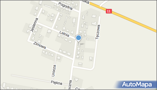 Jakub Zys Protect System, ul. Słoneczna 13, Brodowo 63-000 - Przedsiębiorstwo, Firma, NIP: 7861593838