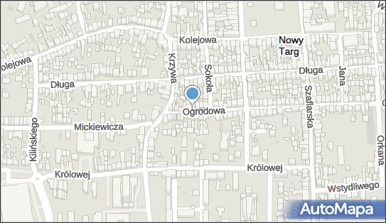 Jan Chodorowicz Konserwacja Zabytków, Ogrodowa 9, Nowy Targ 34-400 - Przedsiębiorstwo, Firma, NIP: 7352432587