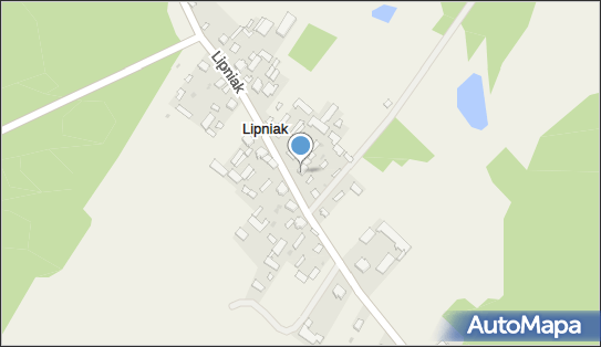 Jan Giziński Usługi w Zakresie Leśnictwa, Lipniak 12, Lipniak 08-112 - Przedsiębiorstwo, Firma, NIP: 8211041365