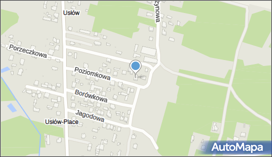 6631359771, Jan Lech Mięso, Wędliny, Wyrób i Sprzedaż 