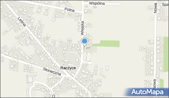 6221430529, Jan Lis Usługowe Kierowanie Pojazdami 