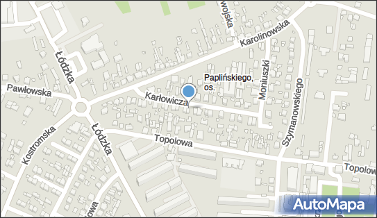 7711659116, Malowanie Na Tkaninach Jan Nejman 