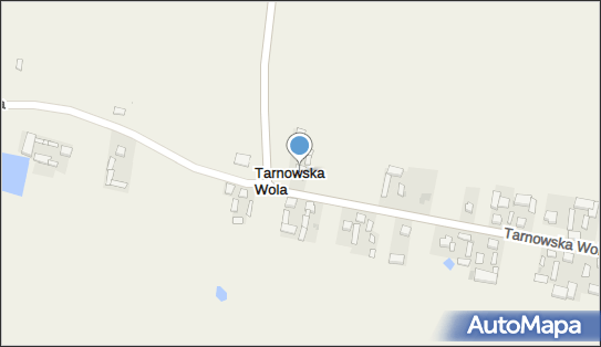 Janeczek Transport Drewna, Tarnowska Wola 8, Tarnowska Wola 97-217 - Przedsiębiorstwo, Firma, NIP: 7732136926