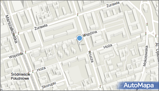 Janex Szczepaniak Jan, Krucza 23/31, Warszawa 00-525 - Przedsiębiorstwo, Firma, NIP: 1130145080
