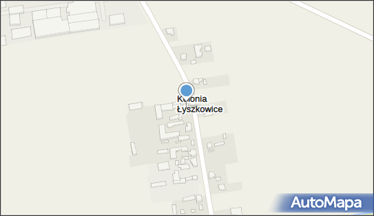 Janex, Kolonia Łyszkowice 8, Kolonia Łyszkowice 99-420 - Przedsiębiorstwo, Firma, numer telefonu, NIP: 8341473494