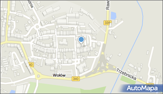 Janik M., Wołów, Wrocławska 3, Wołów 56-100 - Przedsiębiorstwo, Firma, NIP: 9171154186