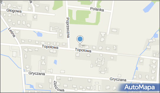 Jankowski Krzysztof, Topolowa 17, Osielsko 86-031 - Przedsiębiorstwo, Firma, NIP: 5541702615