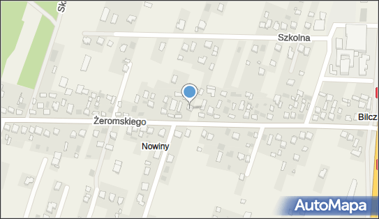 Janusz Władyszewski Handel Detaliczny Artykułami Spożywczymi i Przemysłowymi 26-026 - Przedsiębiorstwo, Firma, NIP: 9590843826
