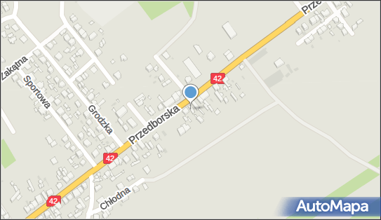 JAPI, Przedborska 130, Radomsko 97-500 - Przedsiębiorstwo, Firma, NIP: 7722406672