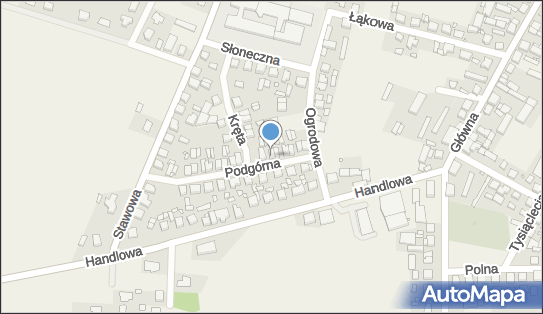 Jaśkowiak Marek, Podgórna 12, Kamieniec 64-061 - Przedsiębiorstwo, Firma, NIP: 9950018657
