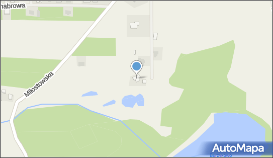 5951456564, Jędrzej Karpiewski 