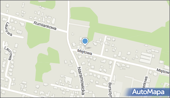 632501320, Jerzy Dumin Pizzeria 