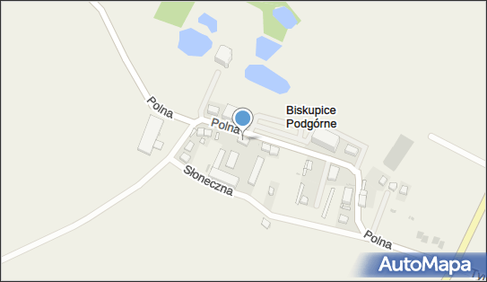 Jerzy Pankiewicz Transport Ciężarowy, Polna 9, Biskupice Podgórne 55-040 - Przedsiębiorstwo, Firma, NIP: 8951044001
