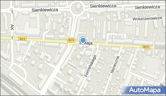 8210016632, Jerzy Strzaliński Agencja Ochrony Mienia i Usług Detektywistycznych 