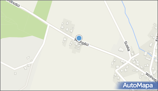 JJD Pomocna Dłoń Jadwiga Cichoń Ruszczak, ul. Dworcowa 1 47-100 - Przedsiębiorstwo, Firma, NIP: 7561398765