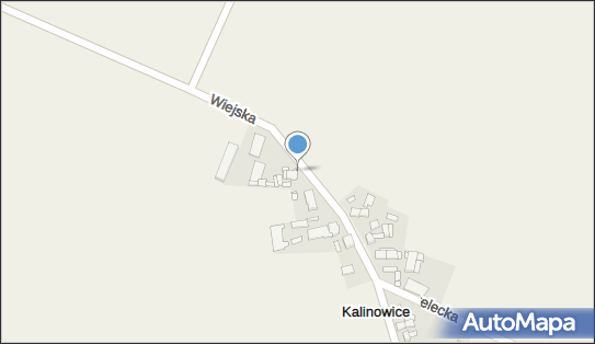 Joachim Nieszwiec, Wiejska 21, Kalinowice 47-100 - Przedsiębiorstwo, Firma, NIP: 7561798447