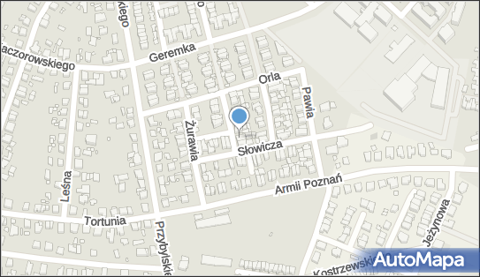 7772681587, Joanna Domachowska Alex-Car 
