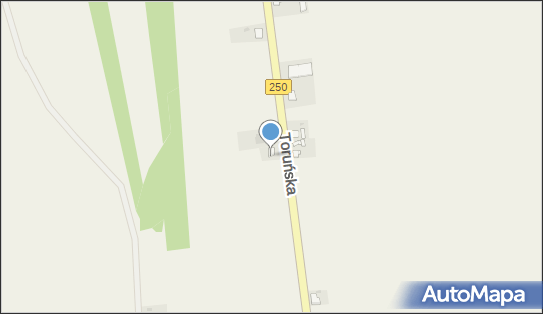 Joanna Duchińska - Działalność Gospodarcza, ul. Toruńska 65B 87-700 - Przedsiębiorstwo, Firma, NIP: 8911117900