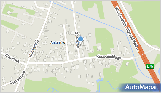 Joanna Izak, Gruntowa 2, Dąbrowa Górnicza 42-520 - Przedsiębiorstwo, Firma, NIP: 9111682705