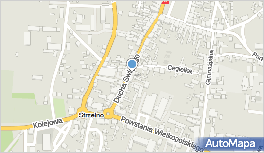 Joanna Kaczorowska F.H.U.Joanna, ul. św. Ducha 25/1, Strzelno 88-320 - Przedsiębiorstwo, Firma, NIP: 5571198819