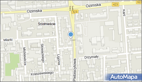 Joanna Oliwa - Działalność Gospodarcza, ul. Plebiscytowa 32 45-350 - Przedsiębiorstwo, Firma, NIP: 7542620085